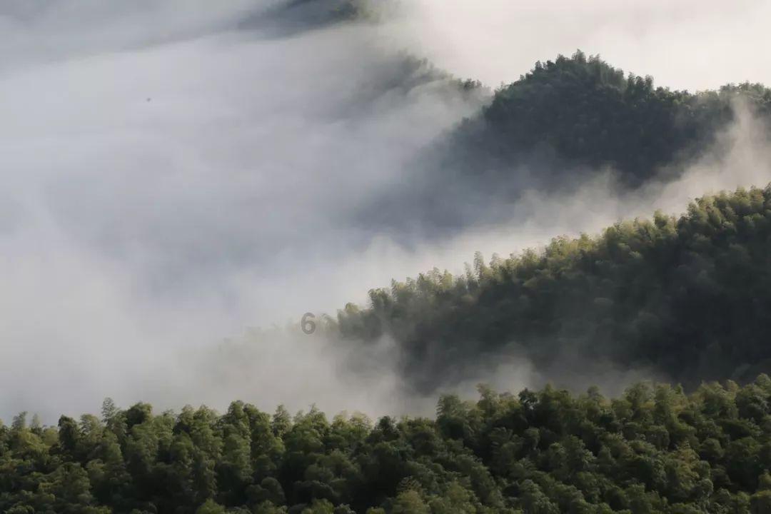 《兄弟连》空战续集开播！前两集最新口碑出炉，观众评价一针见血