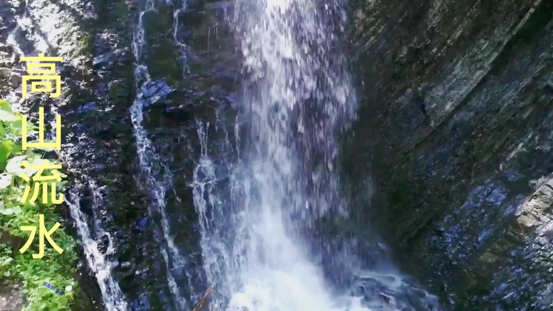逃离橡子树种植地